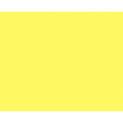 YELLOW SE-CF.png